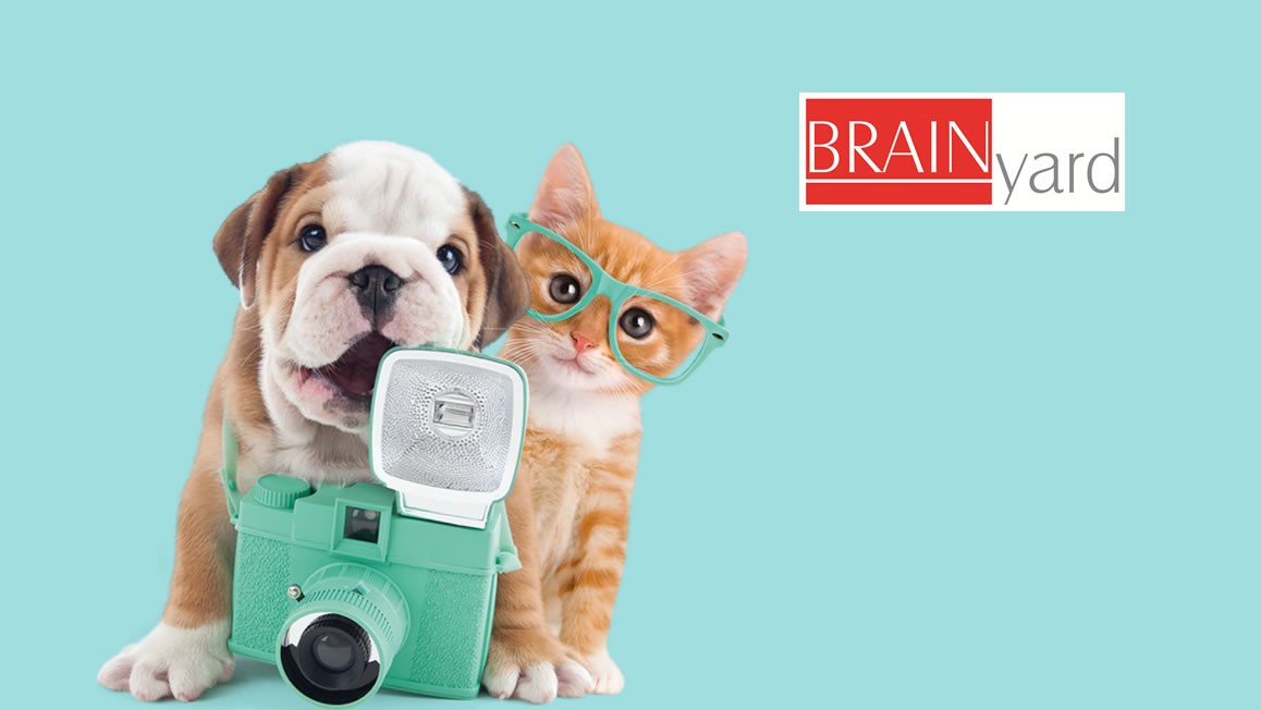 BRAINyard Apps